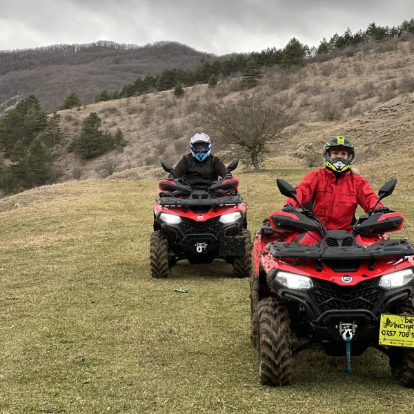 5D356C61-163D-4228-9965-DE08EDE44137